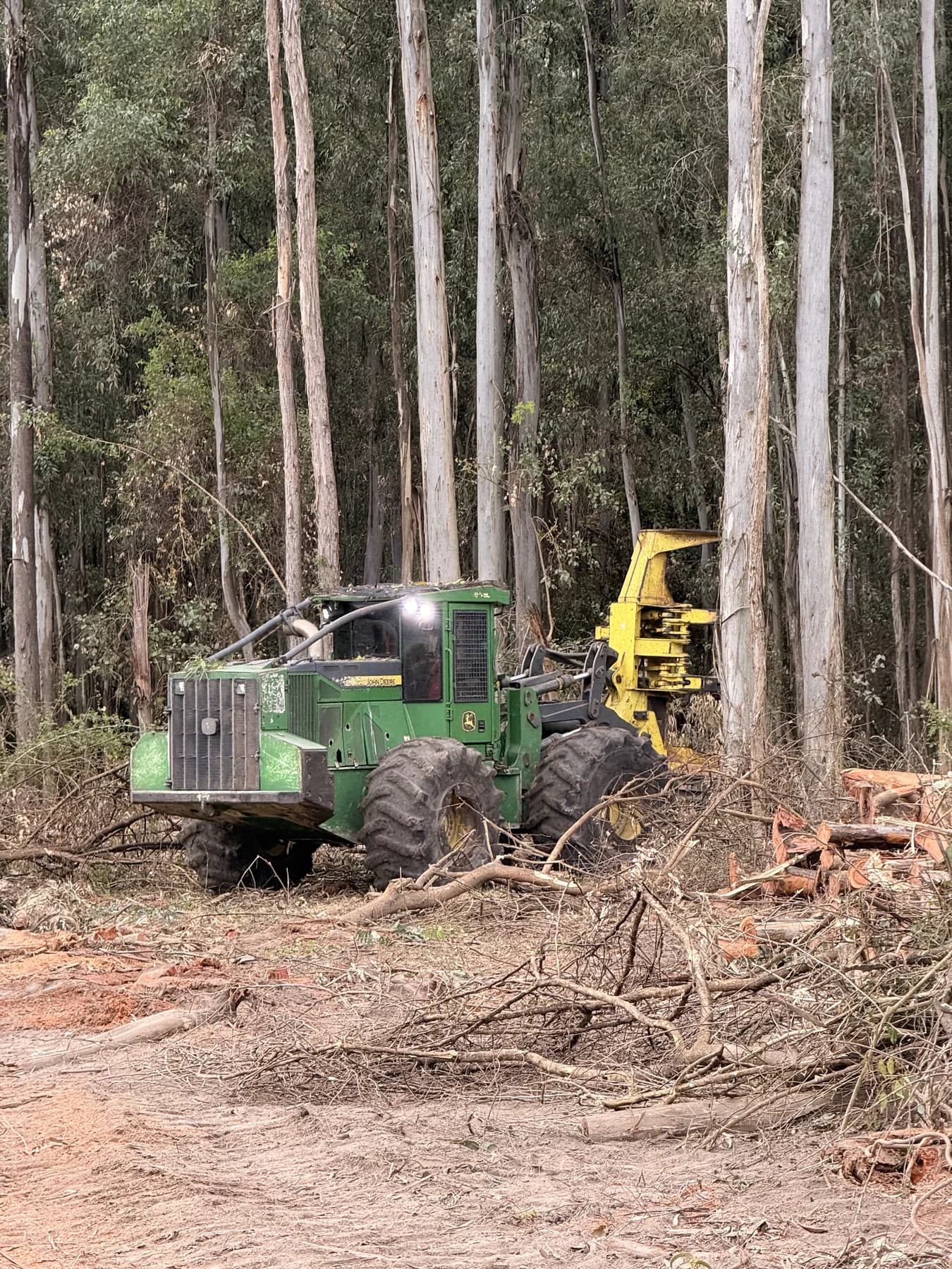 Maquinaria forestal trabajando entre árboles